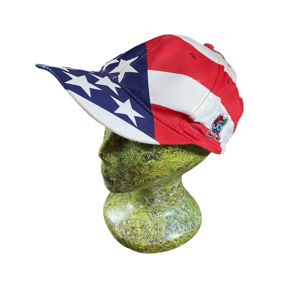 Vintage 90s Global Caps American Flag Baseball Hat